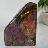 Blocs de Labradorite Violette