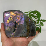 Blocs de Labradorite Violette