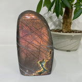 Blocs de Labradorite Violette