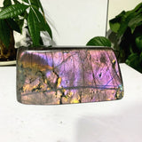 Blocs Labradorite Scintillantes